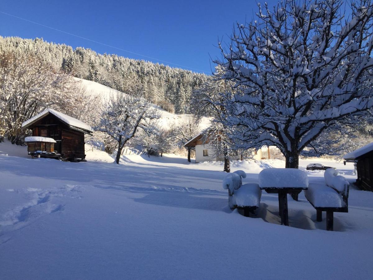 Bobbies Nest * Schladming