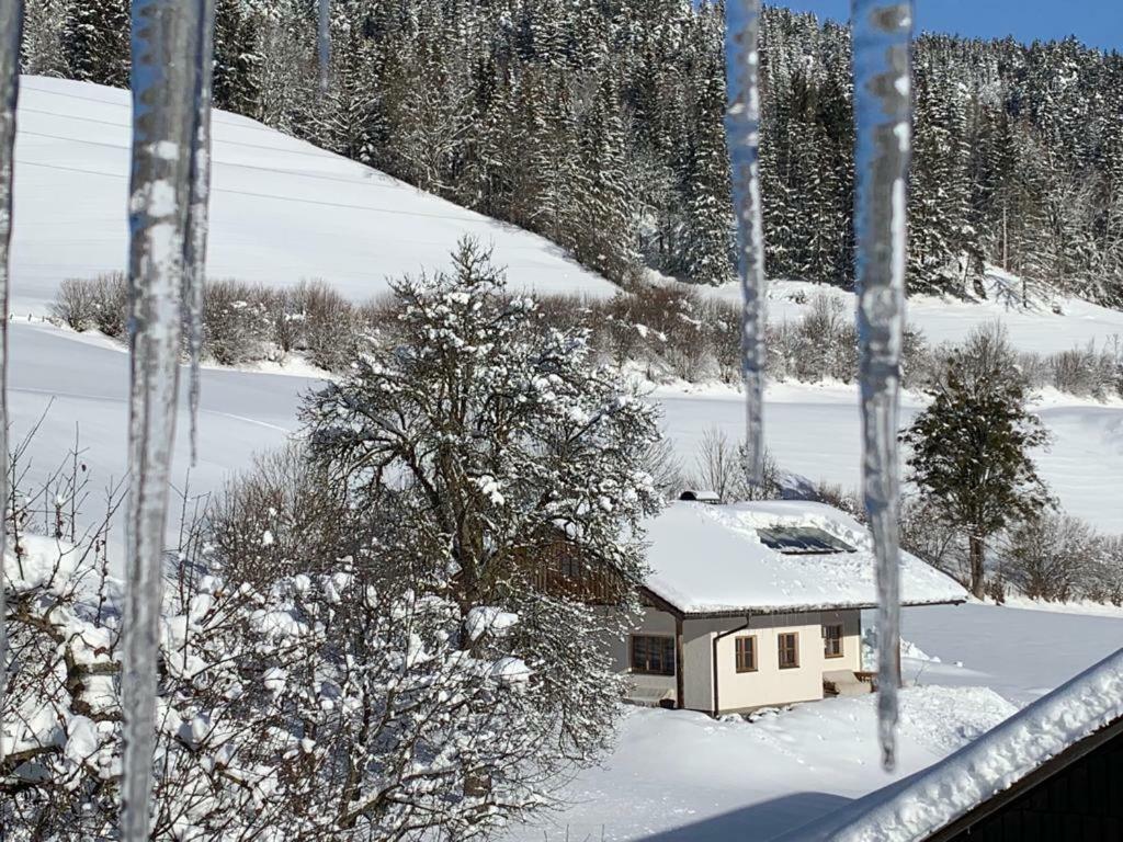 Ferienhaus Bobbies Nest