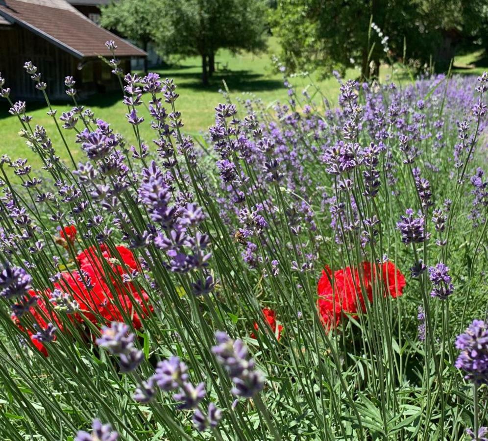 Bobbies Nest Ferienhaus Schladming