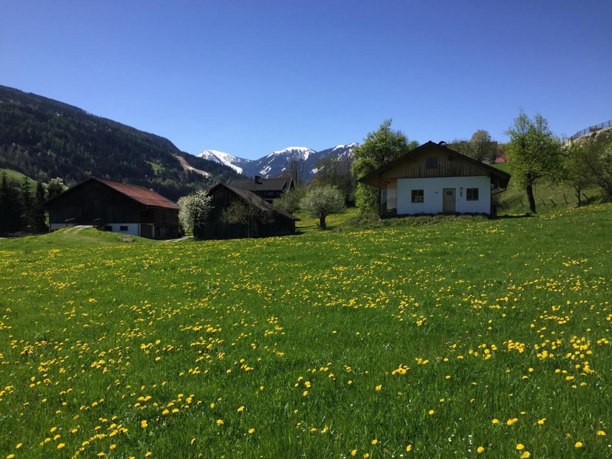 Ferienhaus Bobbies Nest