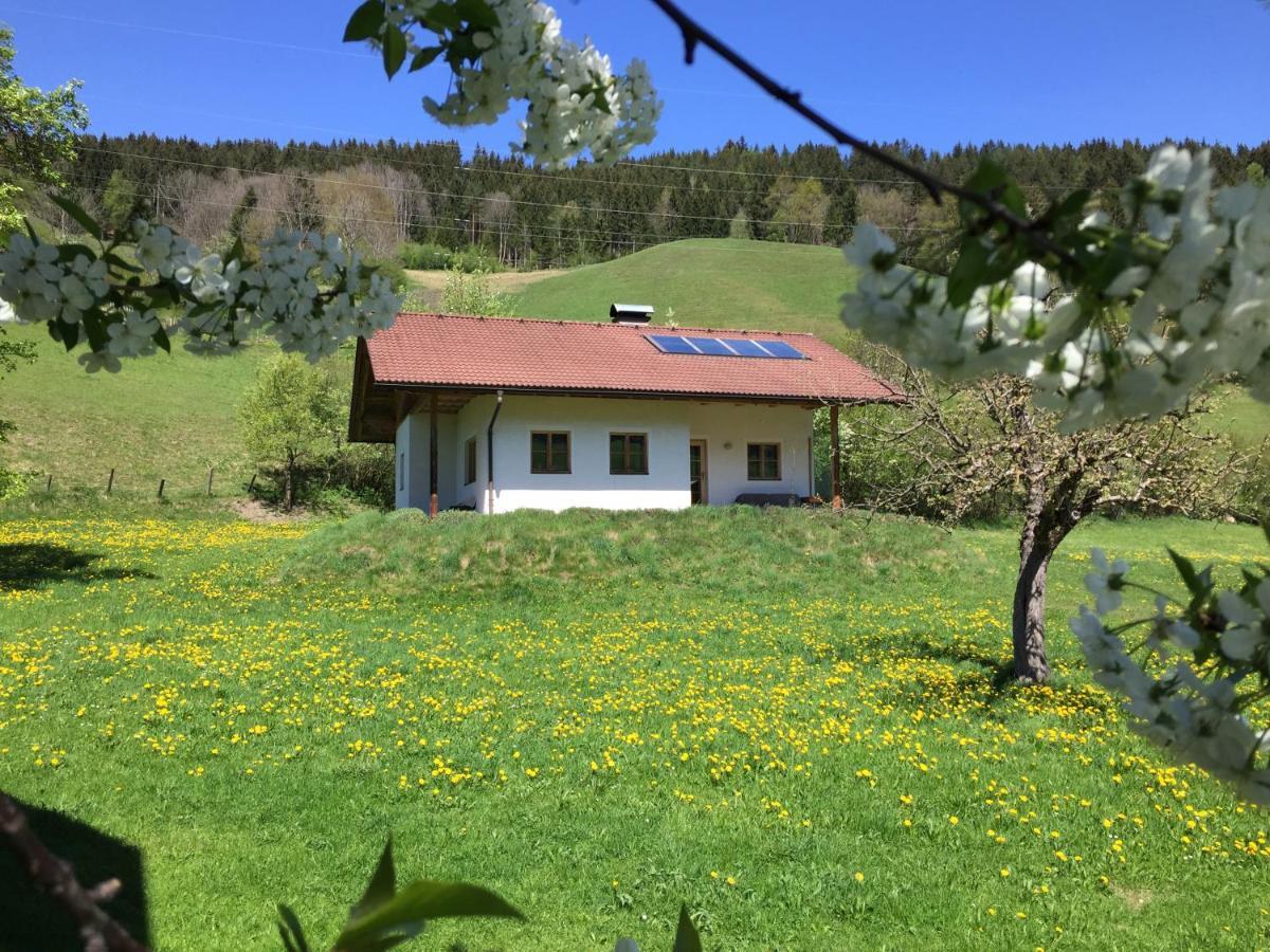 Bobbies Nest Schladming